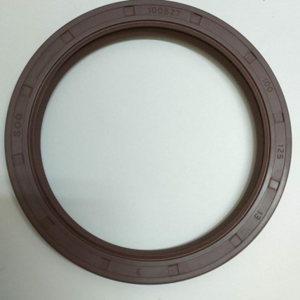 Seal TC 100 125 13 100527 Viton